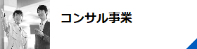 サービス・コンサル事業